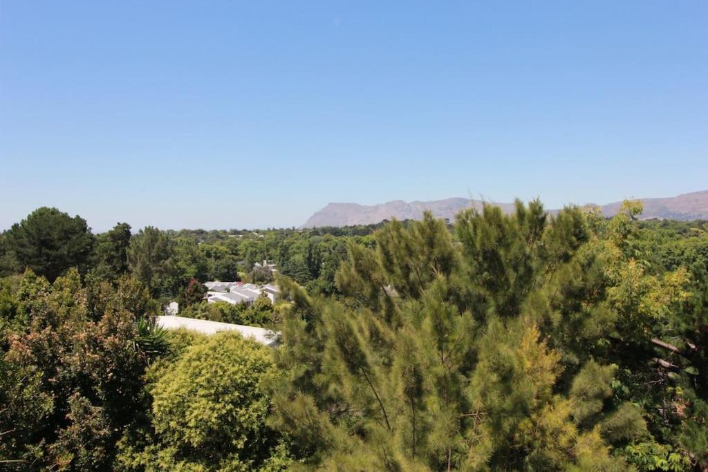 Alphen Drive Apartments Cape Town Exterior photo